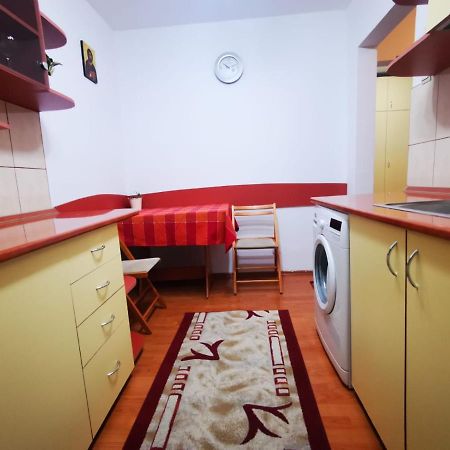 Bright And Cozy Apartment! 克卢日-纳波卡 外观 照片