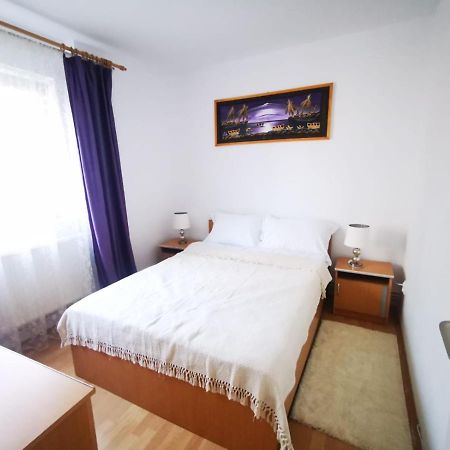 Bright And Cozy Apartment! 克卢日-纳波卡 外观 照片