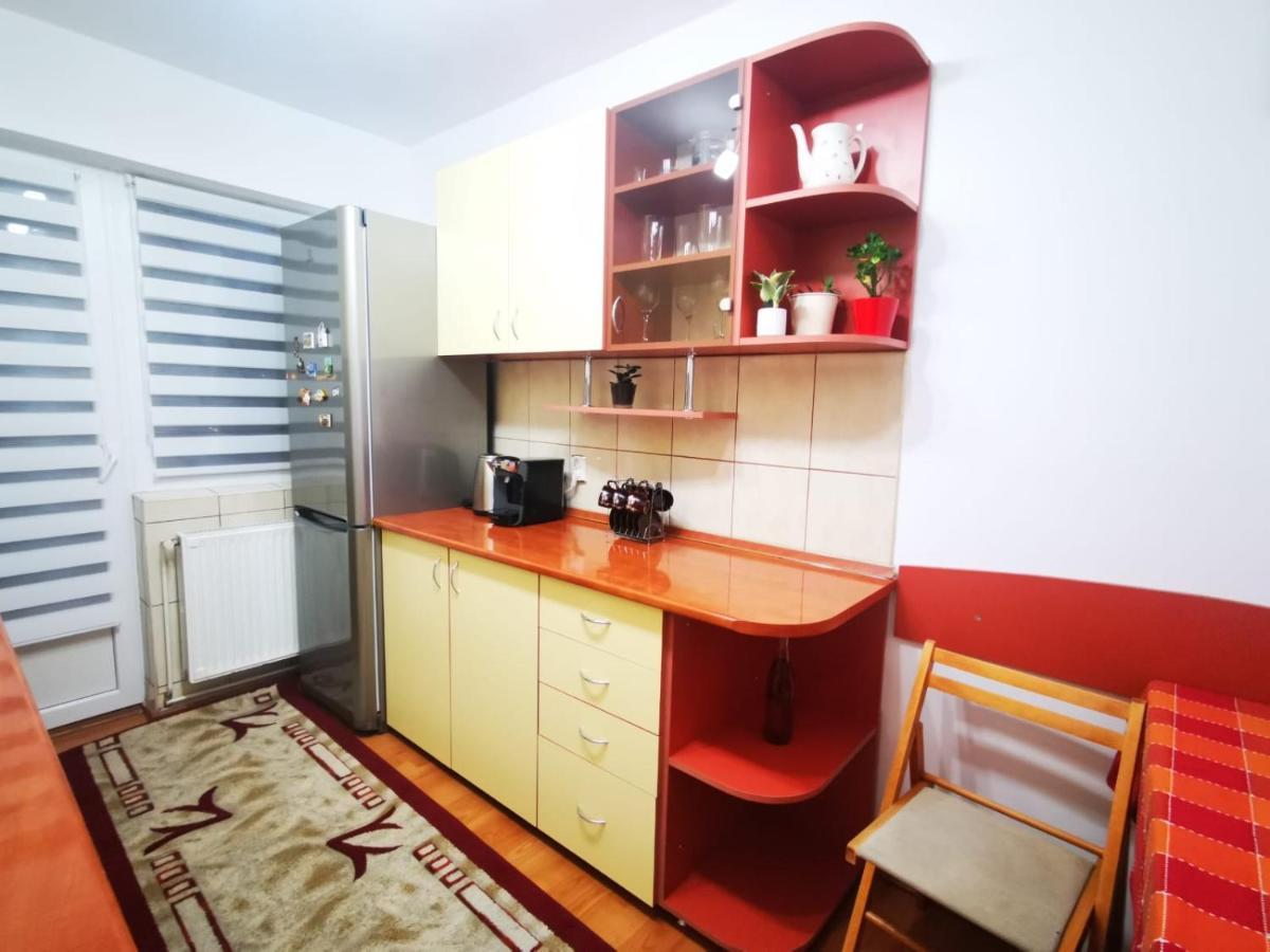 Bright And Cozy Apartment! 克卢日-纳波卡 外观 照片
