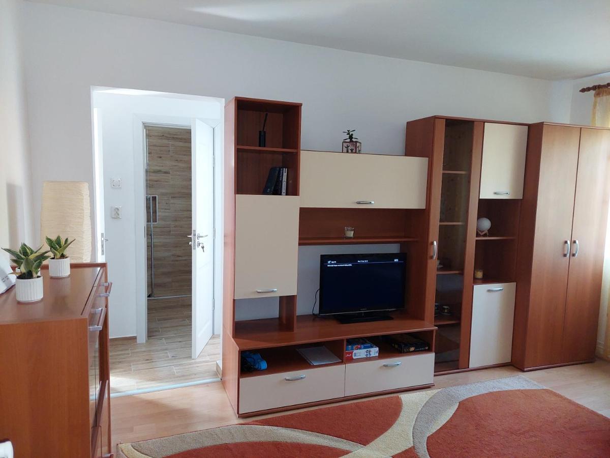 Bright And Cozy Apartment! 克卢日-纳波卡 外观 照片