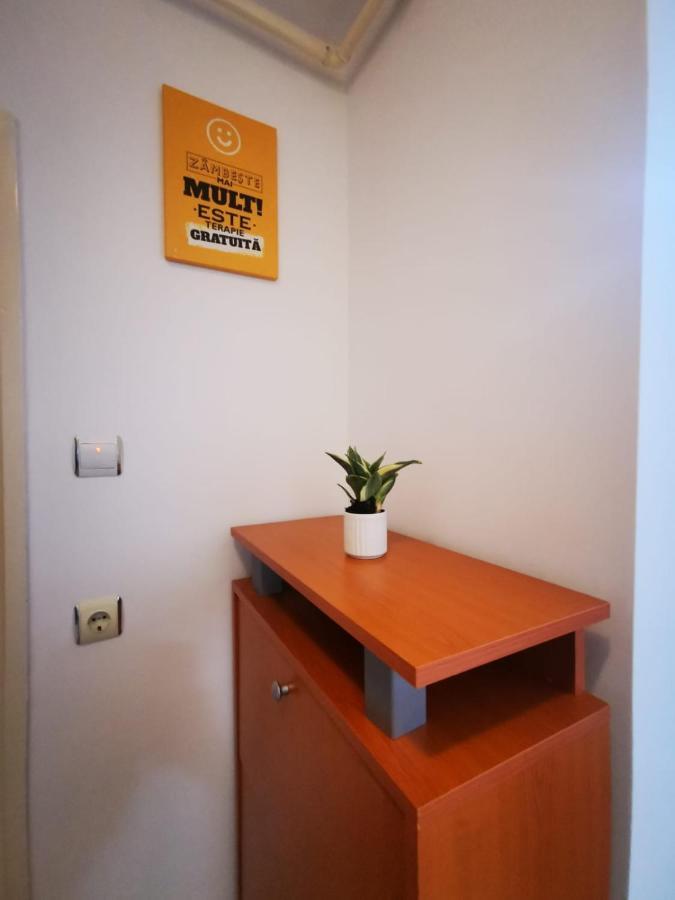 Bright And Cozy Apartment! 克卢日-纳波卡 外观 照片