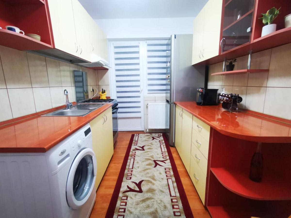 Bright And Cozy Apartment! 克卢日-纳波卡 外观 照片