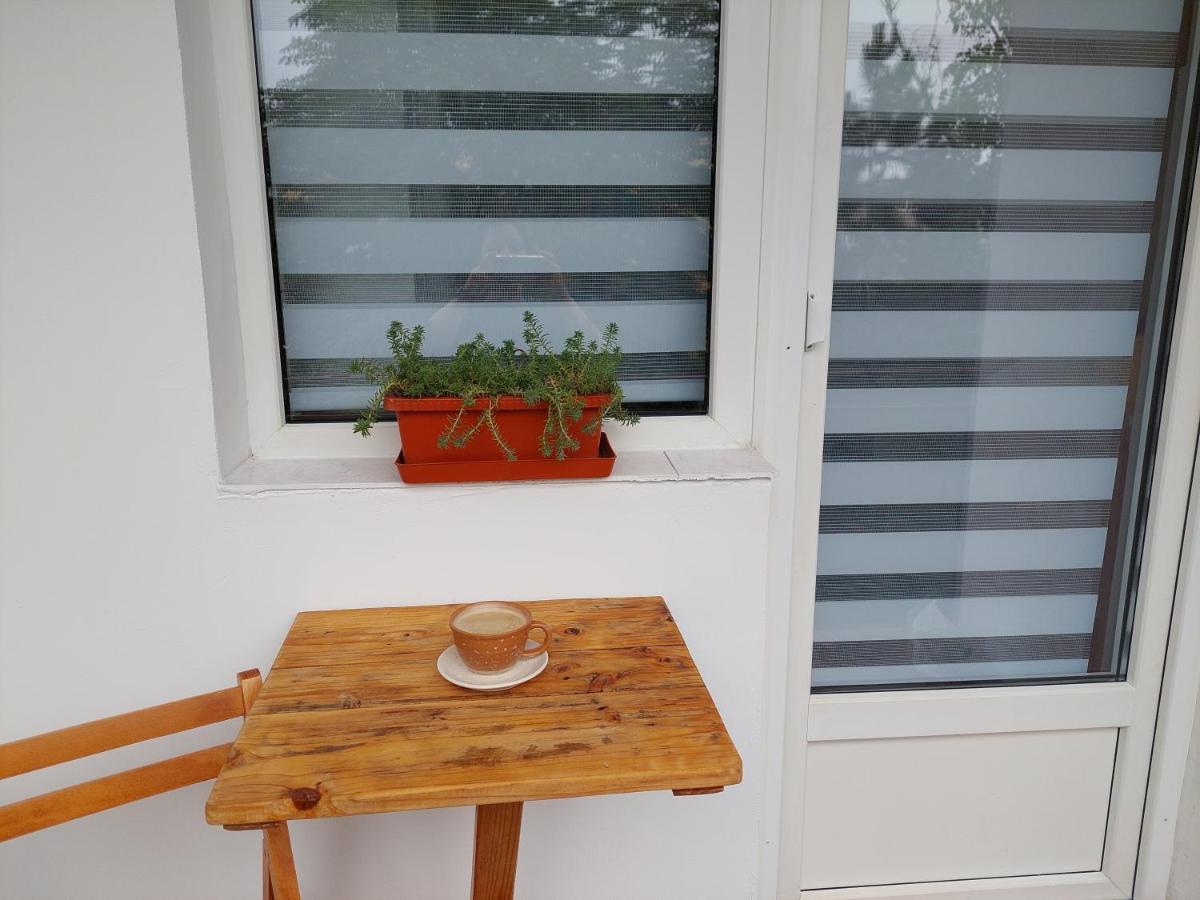Bright And Cozy Apartment! 克卢日-纳波卡 外观 照片