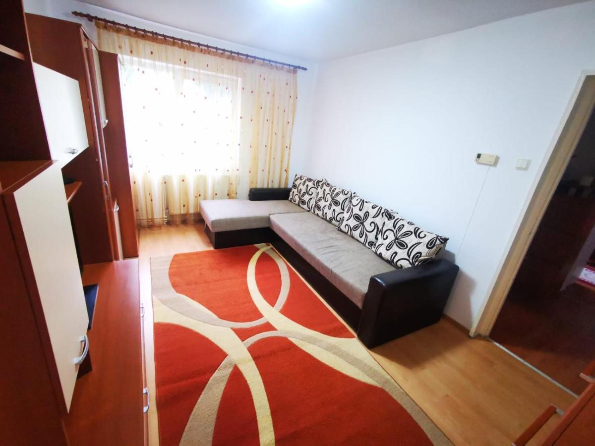 Bright And Cozy Apartment! 克卢日-纳波卡 外观 照片